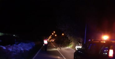 Incidente sulla SS 89, auto travolge cinghiale