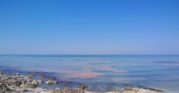 Scie rosse nel mare a Torre Mileto: sono alghe