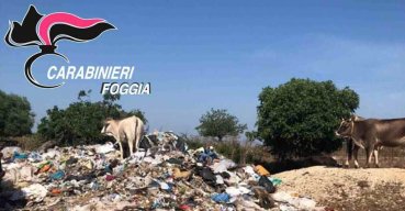 Ultim'ora: scoperta discarica abusiva in una masseria