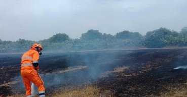 Roghi in campagna, pugno duro delle forze dell'ordine