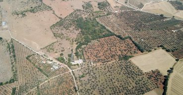 Interdittiva antimafia per un'azienda agricola