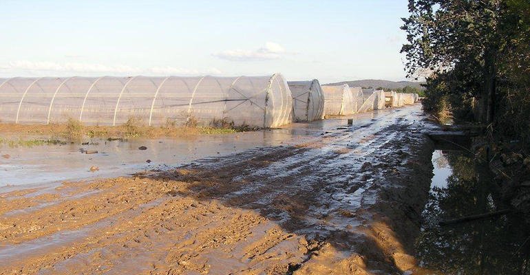 Danni all'agricoltura per eventi calamitosi