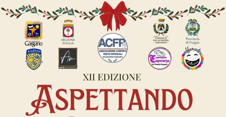 Tutto pronto per aspettando Natale 2024