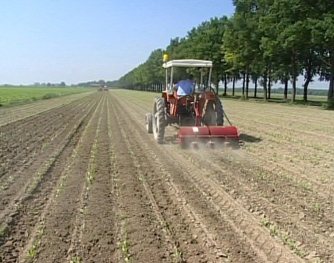 Il Partito Democratico organizza incontri sull'agricoltura